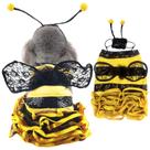 Traje Coppthinktu Bee Bumblebee para cães e gatos