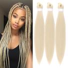 Trançado de cabelo pré-esticado, Rolance Blonde 163 (24 polegadas, 240 g)