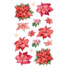 Transfer de Imagem Natal - TISN - 014 Poinsetias