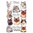 Transfer de Imagem Small - Gatinhos - TIS-065 Transfer de Imagem Small - Gatinhos - TIS-065
