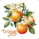 Transfer Têxtil Quadrado 8x8cm TTQ2-003 Laranja Litoarte