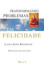 Transformando problemas em felicidade - MAUAD X Transformando problemas em felicidade - MAUAD X