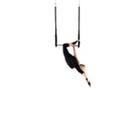 Trapézio Acrobático Circense/ Estúdios Pilates