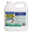 Tratamento para Lagoa API Microbial Algae Clean 1890 ml
