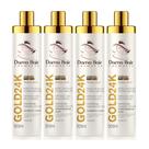 Tratamento Profissional Dama Hair 2 Kit Gold 24k Shampoo e Condicionador 4x500ml Tratamento Profissional Dama Hair 2 Kit Gold 24k Shampoo e Condicionador 4x500ml