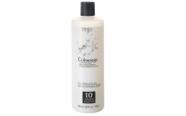 Tratamiento Revelador Tressa Colourage Volumen 10 960 mL