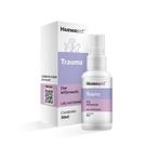 Trauma Tratamento para Cães e Gatos Homeopet Real H 30ml