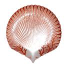 Travessa de Vidro Concha Miami Coral 28cm