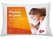 Travesseiro Castor Sleep Pluma de Ganso 050x070x12cm
