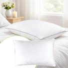 Travesseiro Grand Hotel Blue Gardenia 50x70cm Algodão 230 Fios com Enchimento em Plumas Sintéticas Antialérgico Conforto Tipo Hotel 5 Estrelas