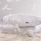Travesseiro Pena E Pluma Natural - I Wanna Sleep - 20% Pluma de Ganso e 80% Pena de Ganso