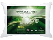 Travesseiro Plooma 100% Plumas de Ganso Capa 233 Fios 0,50x0,70m