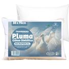 Travesseiro Pluma de Ganso com Tecido 200 Fios - 2 Unidades