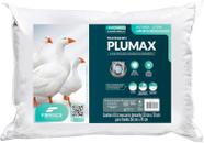 Travesseiro Plumax Percal 50X70X17 Travesseiro Plumax Percal 50X70X17