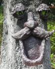 Tree Face Wild Bird Feeder jinhuoba Tree Decors Yard Art