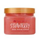 Tree Hut Strawberry Shea Sugar Scrub - Esfoliante Corporal 510g - Original