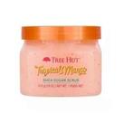 Tree Hut Tropical Mango Shea Sugar Scrub - Esfoliante Corporal 510g Tree Hut Tropical Mango Shea Sugar Scrub - Esfoliante Corporal 510g