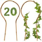 Treliça de bambu WUWEOT, pacote com 20, suporte de plantas em forma de laço de 40 cm