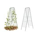 Treliça para Plantas Trepadeiras Vego Garden Tipo A 203 cm Kit com 2
