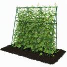 Trellume Treliça para Pepino 125x125 cm Estrutura Metálica em A