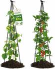 Trepadeira para Jardim OTOSUNNY 170 cm em Metal, Obelisco, Kit com 2