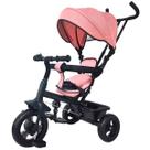 Triciclo 360º Rosa com Empurrador Passeio Divertido DM TOYS