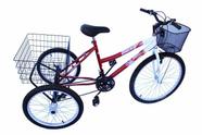 triciclo adulto onix 14 marchas