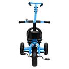 Triciclo Azul Com Pedal Cestinha E Empurrador Para Meninos Passeio Infantil Divertido - Zippy Toys