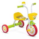 Triciclo Com Pedal Infantil Motoquinha Buzina Bebê Mini Veículo
