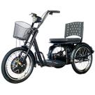 Triciclo Elétrico 800W Assento com Almofada Freio a Disco Alarme Fox Preto