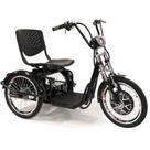 Triciclo Elétrico 800W Freio a Disco com Ré Farol e Alarme Fox Preto - Duos Bikes