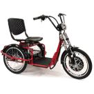 Triciclo Elétrico 800W Freio a Disco com Ré Farol e Alarme Fox Vermelho Triciclo Elétrico 800W Freio a Disco com Ré Farol e Alarme Fox Vermelho
