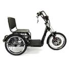 Triciclo Elétrico 800W Lítio com Ré Farol e Alarme Fox Preto Triciclo Elétrico 800W Lítio com Ré Farol e Alarme Fox Preto