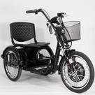 Triciclo Elétrico 800W Lítio Ré Farol e Alarme Fox Preto com Cestinha