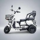 Triciclo Eletrico Adulto Cadeira Idoso 1000w Mobilidade