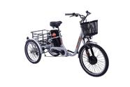 Triciclo Elétrico Adulto Dream Bike - Prata - Elektra 500