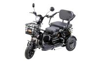 Triciclo Elétrico Cadeira Recarregavel Adulto Idoso 600w - Power 600w