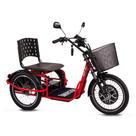 Triciclo Elétrico Machine Force 800W com Ré, Farol, Alarme e Cestinho