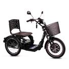 Triciclo Elétrico Machine Force 800W com Ré, Farol, Alarme e Cestinho
