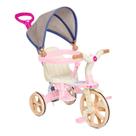Triciclo Infantil 2 Em 1 Ciclito Color Calesita - 1091