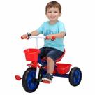 Triciclo Infantil 3 Rodas Carrinho de Passeio Bicicleta Criança com Pedal Cesto Brinquedo Companhia