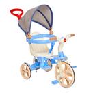 Triciclo Passeio e Pedal Ciclito Azul - Calesita