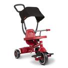 Triciclo Radio Flyer 4 em 1 Pedal & Push Stroll 'N Trike