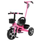 Triciclo Rosa Com Pedal Cestinha E Guiador Para Meninas Passeio Infantil Divertido - Zippy Toys