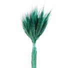 Trigo Verde Desidratado p/ Decoração