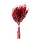 Trigo Vermelho Desidratado p/ Decoração
