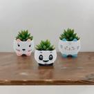 Trio Cachepo 3 Vasinho de Ceramica para Suculenta Bichinhos