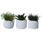 Trio Cachepot M - Adornos