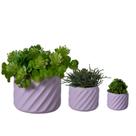 Trio Cachepot Mesclado - Adornos