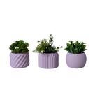 Trio Cachepot Mini - Adornos